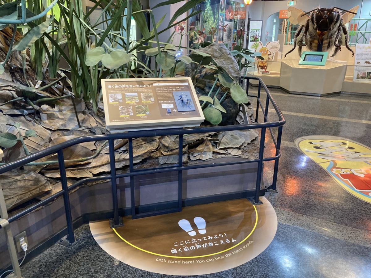 伊丹市昆虫館の第1展示室ジオラマに鳴く虫コーナー を追加しました